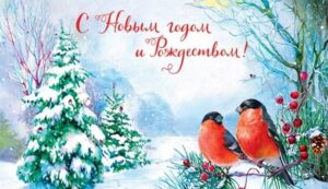 Подробнее о статье с Новым годом и Рождеством!!!