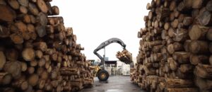 Новоторжский ЛПК