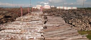 Новоторжский ЛПК