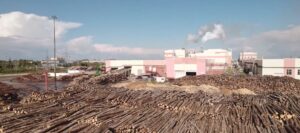 Новоторжский ЛПК